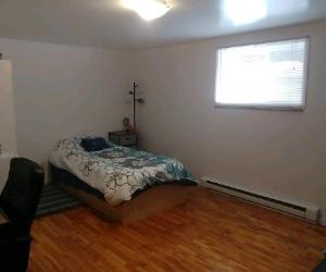 Voisine Université Laval près Cégep Garneau pour étudiant(e) non fumeur(euse) seulement, aucun animal permis, au demi ss maison privée à partager — photo 1