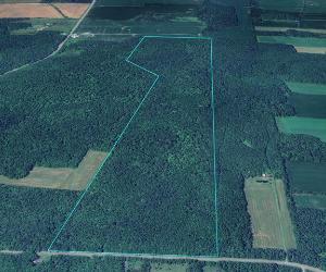 Terrain — photo 1