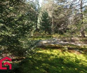 Terrain — photo 2