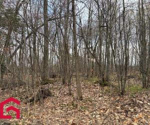 Terrain — photo 1